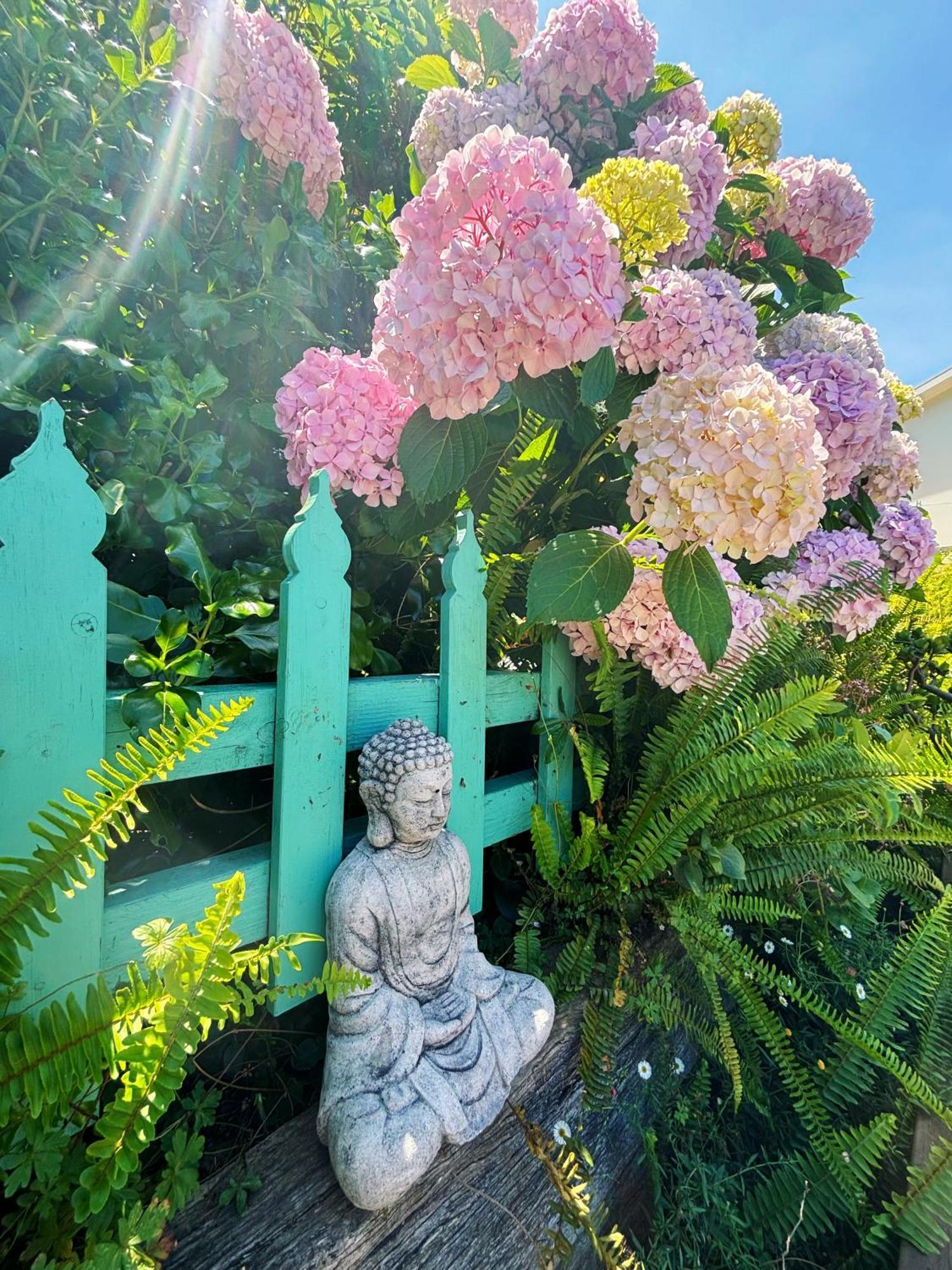 山羊与鹅住宿加早餐旅馆 莱克斯恩特伦斯 外观 照片