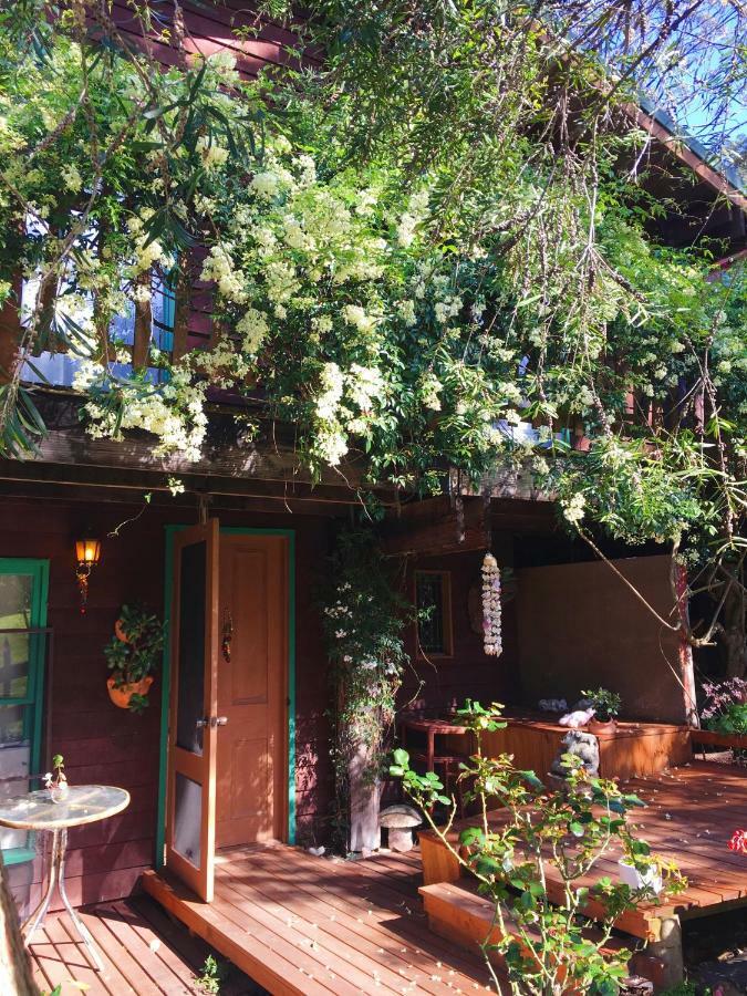 山羊与鹅住宿加早餐旅馆 莱克斯恩特伦斯 外观 照片